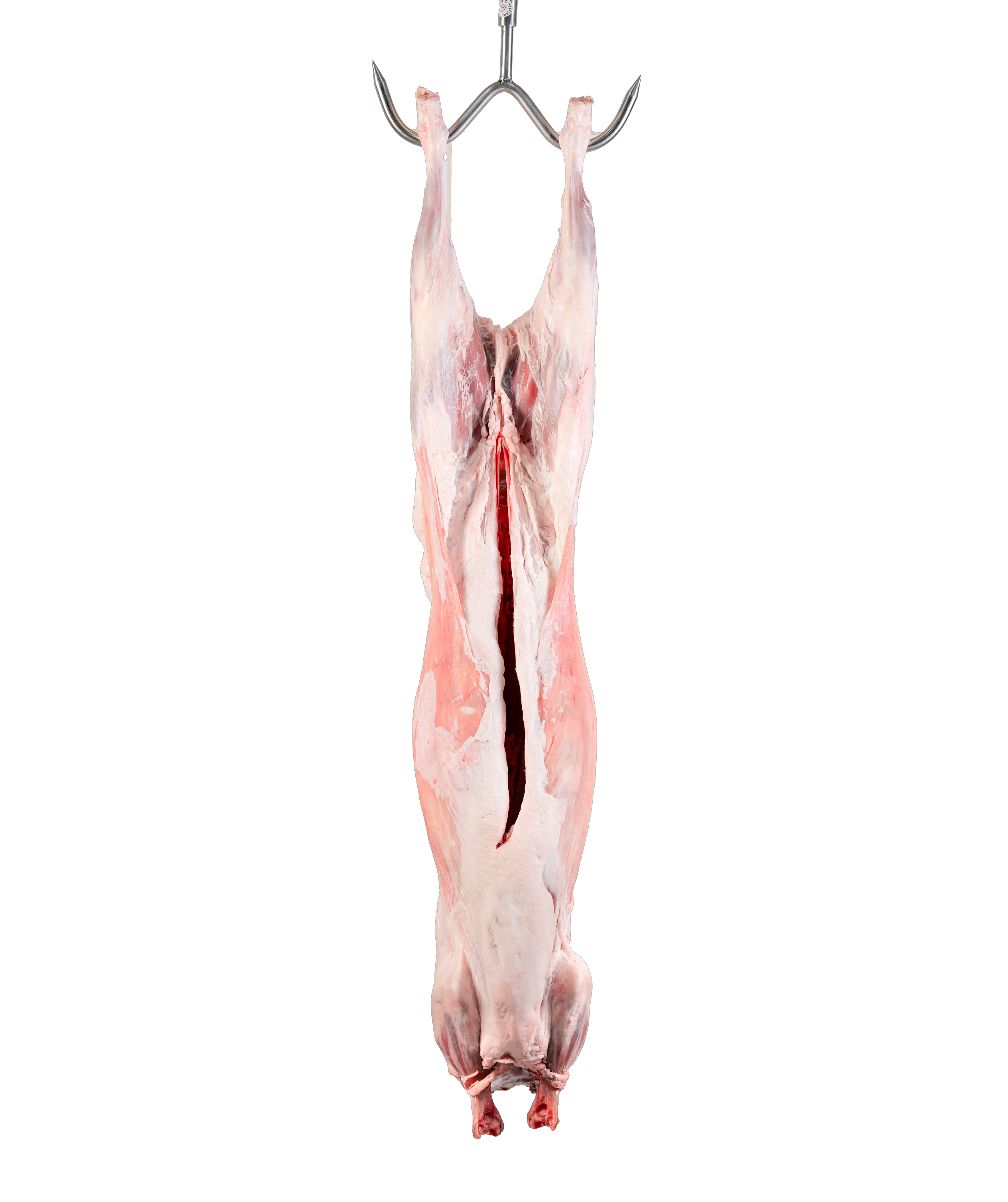 لحم خاروف إسباني